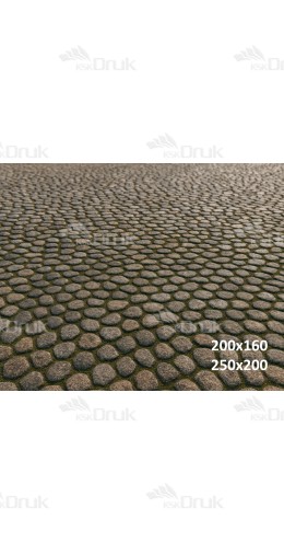 Tło fotograficzne „Kamienny deptak z naturalną fakturą” | 3767